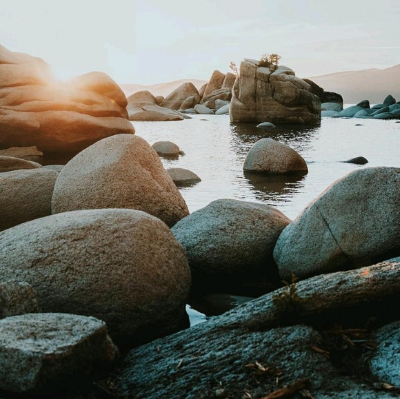 Meet your Posher, Kolton - Picture 1 of 1